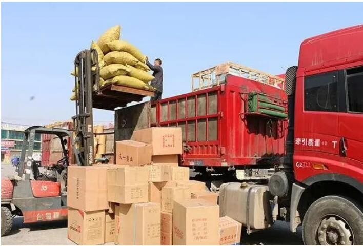 厦门到津南区物流专线